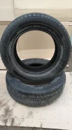 Dunlop Signature CS. ������, ��� �����, 2009 ���, 10�%, 2 ��