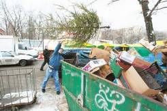 Принимаю непродуманные елки большим количеством, в 2018 году 1 января