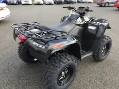 Arctic Cat 700. ��������, ���� ���\���, ��� �������. ��� ����� �� ������� ����