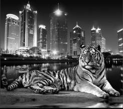 Фотообои. Под заказ