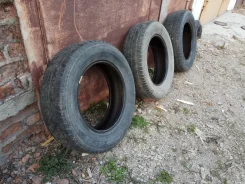 Dunlop SP 65i. ������, �/�, ����� 70�% ����