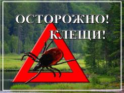 Уничтожение клещей, комаров, жуков, осы, муравей 24/7