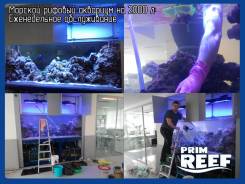 Аквариумы.