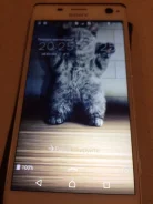 Sony Xperia C4 Dual E5333. �/�