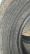 Dunlop SP 70. ������, 50�%, 2 ��