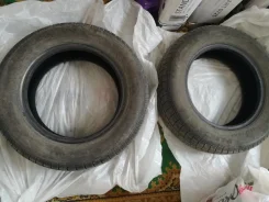 Nexen SB-702. ������, 30�%, 2 ��