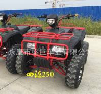 Zongshen ZS250. исправен, без птс, без пробега. Под заказ