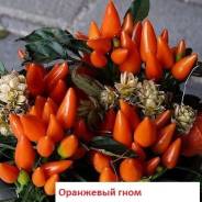 Перец.