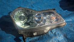 Фара. Infiniti M35, Y50 Infiniti M25 Nissan Fuga, PY50, PNY50, GY50, Y50 Двигатель VQ35DE