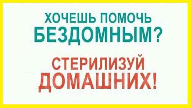������. ����