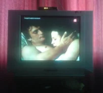 Vestel
