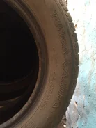 Tunga Camina. ������, 2015 ���, 5�%, 4 ��