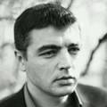 Представитель. Незаконченное высшее образование (студент), опыт работы 4 года