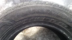 Tunga Camina. ������, 2016 ���, �/�, ����� 5�% ����