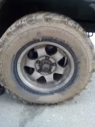 Fedima Extreme. �����������, 2015 ���, �/�, ����� 10�% ����