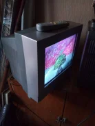 Elenberg. CRT (���) ����