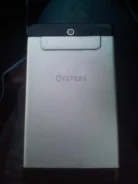 Oysters