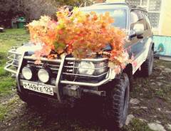 Mitsubishi Pajero. автомат, 4wd, 2.4 (105 л.с.), дизель, 250 000 тыс. км