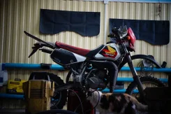 Honda CRM 50. 50����. ��., ��������, ��� ���, � �������� ����