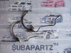 Шланг тормозной. Subaru Legacy, BPH, BP5, BL5, BP9, BL9, BH5, BE5, BH9, BE9, BPE, BHC, BLE, BEE Двигатели: EJ20X, EJ253, EJ255, EJ201, EJ203, EJ206, E...