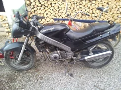 Kawasaki ZZR 250 ����