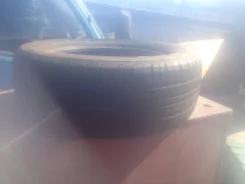 Neuton. �����������, 50�%, 4 ��