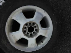 Sprut. ������, 2011 ���, �/�, ����� 30 % ����