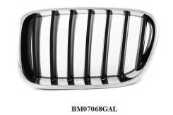 Решетка радиатора. BMW X3, F25