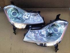 Фара. Infiniti M45, Y50 Infiniti M35, Y50 Nissan Fuga, Y50