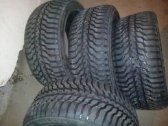 Tunga Road. ������, 2009 ���, �/�, ����� 50�% ����