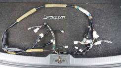 Проводка двери. Toyota Ipsum, ACM21, ACM26 Toyota Picnic Verso Toyota Avensis Verso, ACM20 Двигатели: 2AZFE, 1AZFE