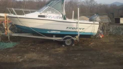 Bayliner. 2004 ���, ����� 6��., ��������� ���������, 115��.�., ������ ����