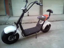 Seev Citycoco. ��������, ��� ���, ��� �������. ��� ����� �� ������������ ����