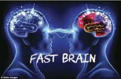 Эрудированная игра на реальные деньги fast brain