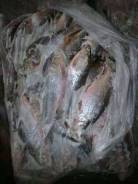 Продам рыбу верхогляд