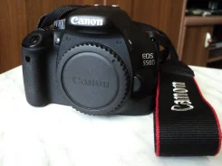 Canon EOS 550D Body. 15 - 19.9 ��, ���: 10� ����