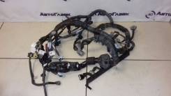 Проводка двс. Toyota Wish, ZNE10, ZNE10G Двигатель 1ZZFE
