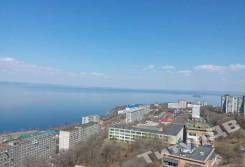 3-комнатная, улица Чкалова 5. Вторая речка, проверенное агентство, 95 кв. м. Вид из окна днём