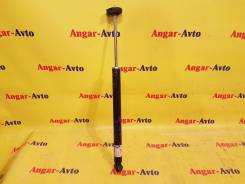 Амортизатор. Ford Focus, DFW, DNW, DBW Двигатели: ZETECSE, TIVCT