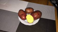 Картофель.