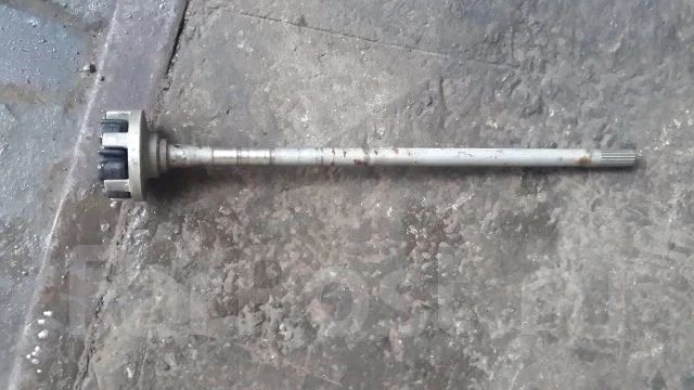 ���� ��������. ����