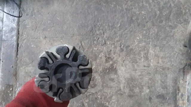 ���� ��������. ����