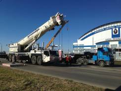 Terex