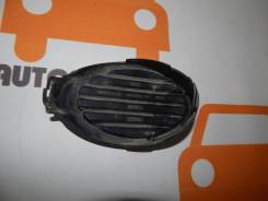 Ободок противотуманной фары. Ford Focus