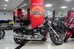 Harley-Davidson Night Rod VRSCD. 1 250����. ��., ��������, ���, � �������� ����
