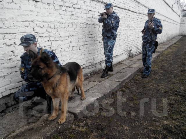 Младший инспектор отдела охраны, работа в ФКУ ИК-8 УФСИН России по