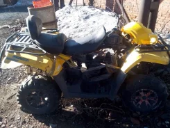 BRP Can-Am ����