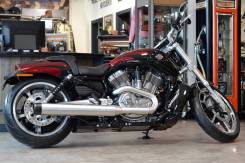 Harley-Davidson V-Rod Muscle VRSCF. 1 250 куб. см., исправен, птс, без пробега