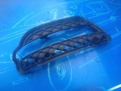 Решетка радиатора. Mercedes-Benz S-Class, W221