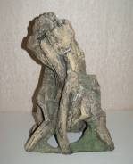 Коряги.